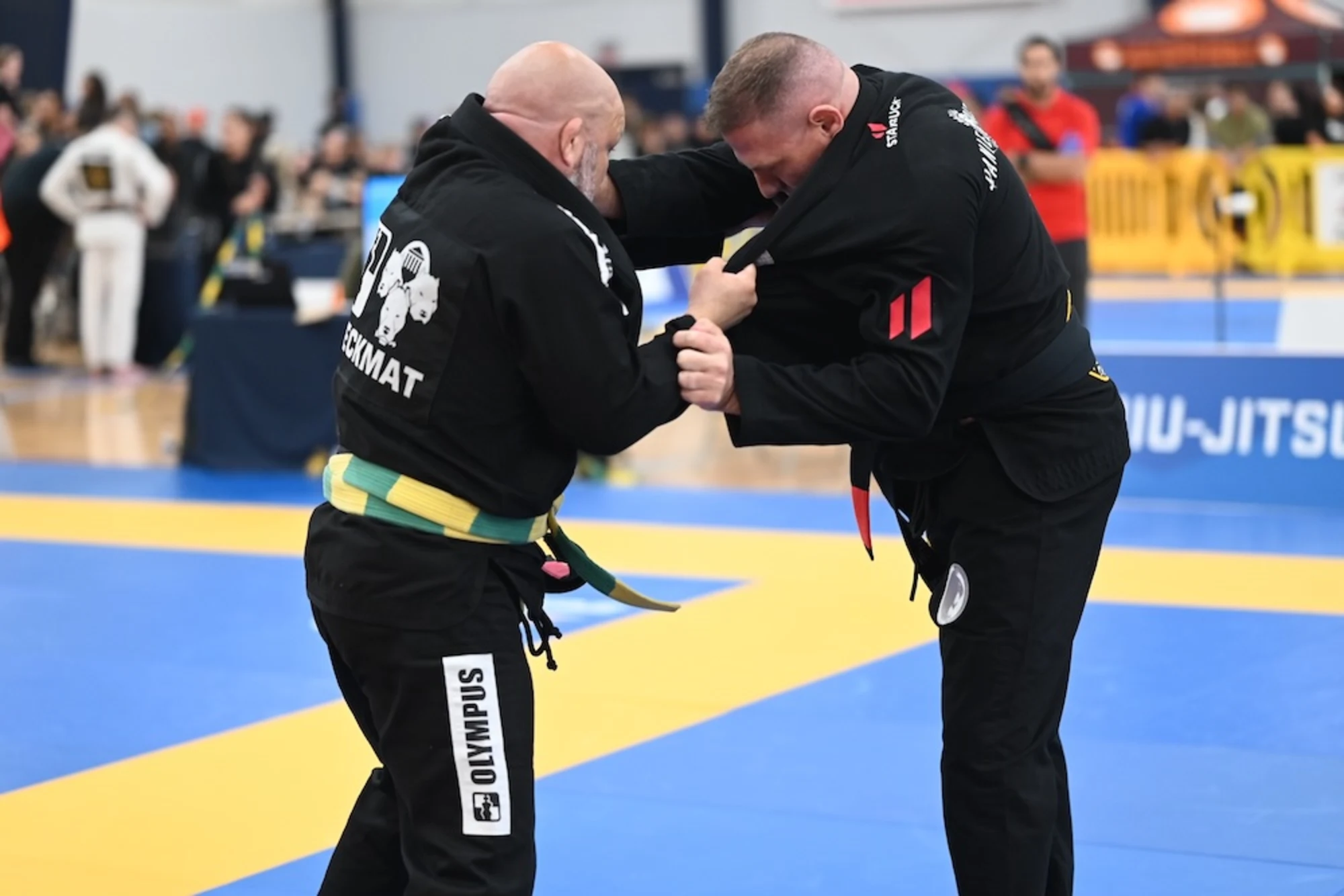 Brazilian Jiu Jitsu